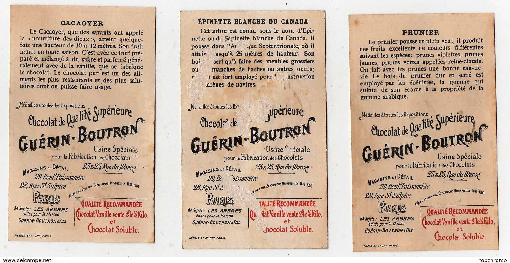 CHROMO Guérin-Boutron Les Arbres Acacia Cornouiller Jaquier Cannelier Palmier Caoutchouc Cacaoyer Prunier Epinette (9 Ch - Au Bon Marché