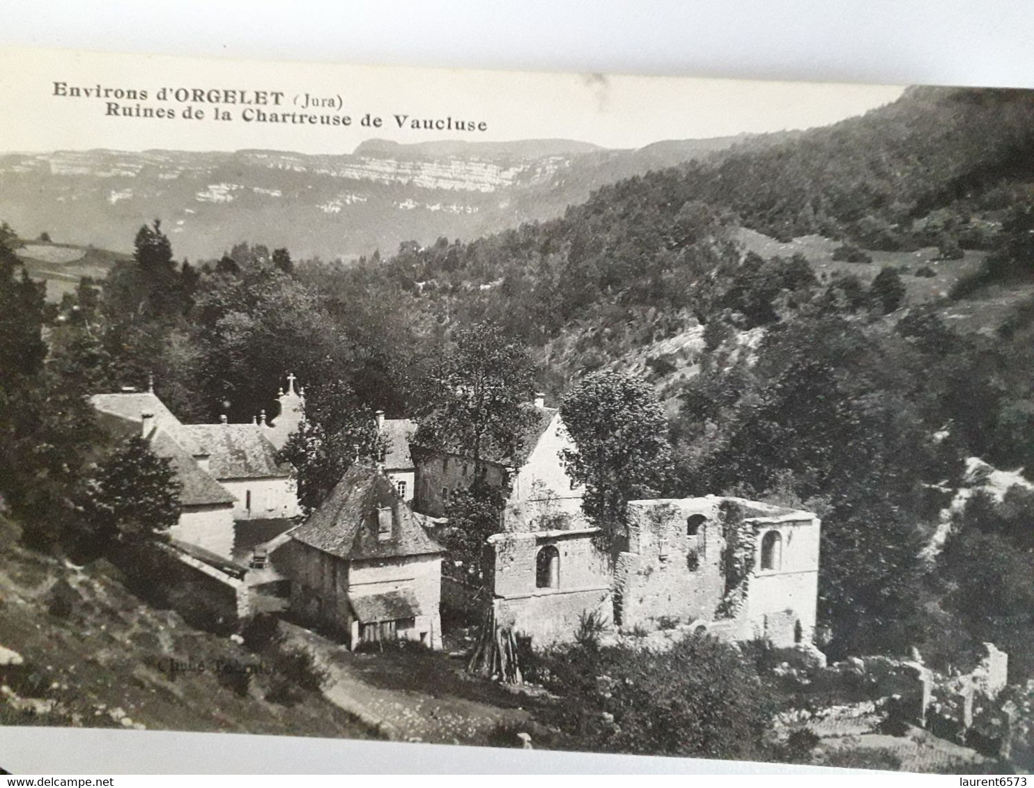 Orgelet, Ruines De La Chartreuse Du Vaucluse, Jura - Orgelet