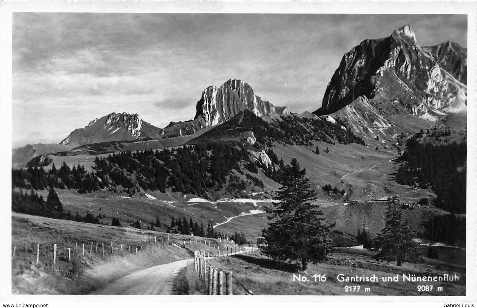 Gantrisch Und Nünenenfluh Schwarzenburg - Schwarzenburg