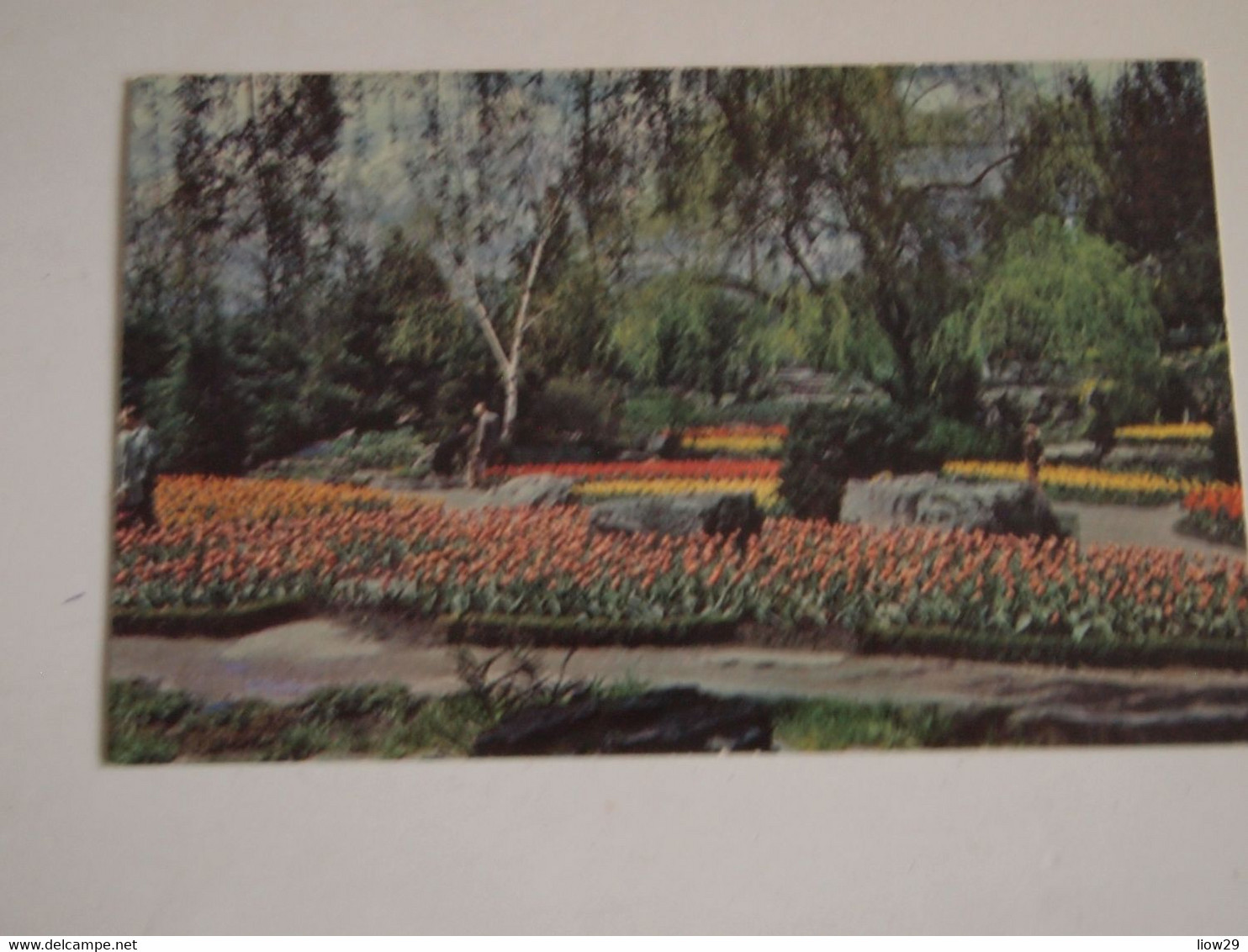 CPA Canada Ontario Hamilton Rock Garden At Royal Botanical Gardens 1965 - Hamilton