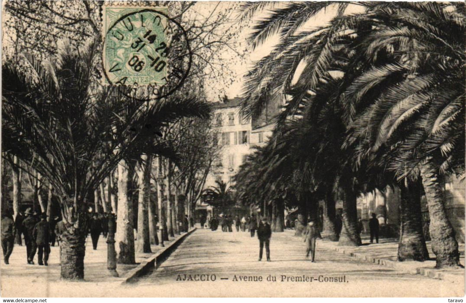 CORSE - AJACCIO -  Avenue Du Premier Consul - 1906 J. Moretti - Ajaccio