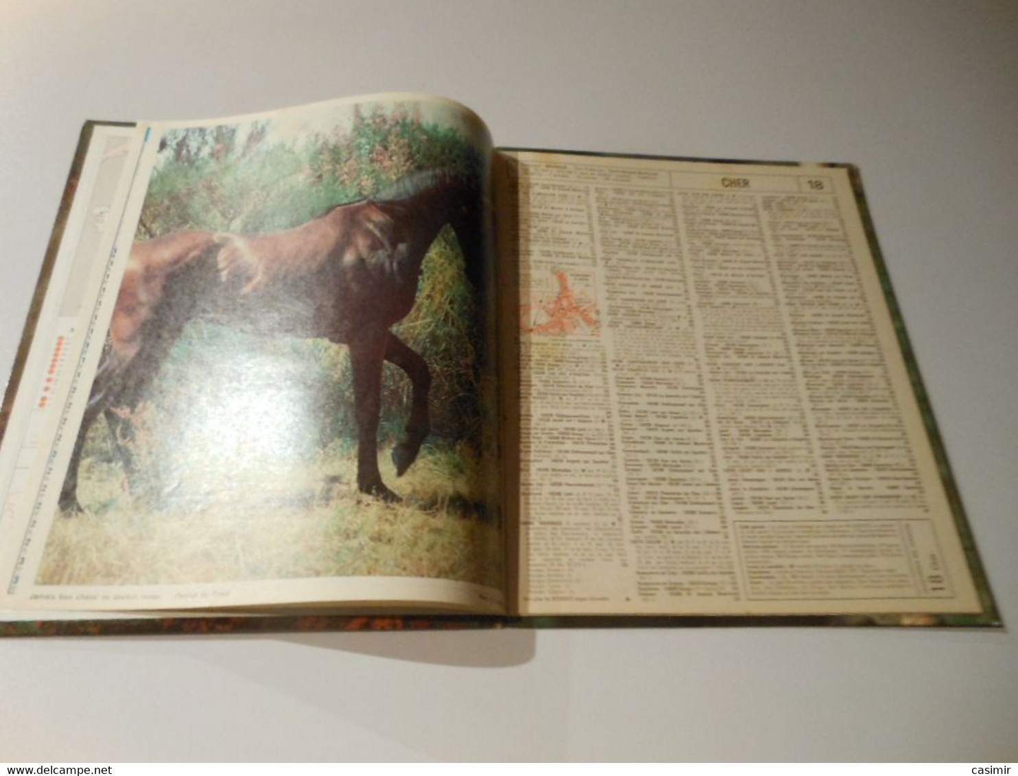 CA004 - Calendrier De 1982 - Almanach Des PTT - La Nature / Les Chevreuils - Grand Format : 1981-90