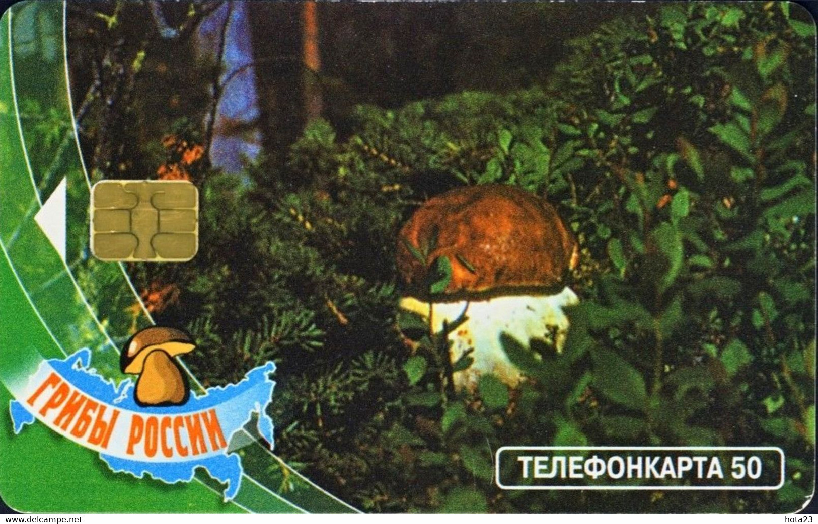 RUSSIA - RUSSIE - RUSSLAND MOSCOW 50 Unit Mushrooms Brown/white USED Phonecard - Levensmiddelen