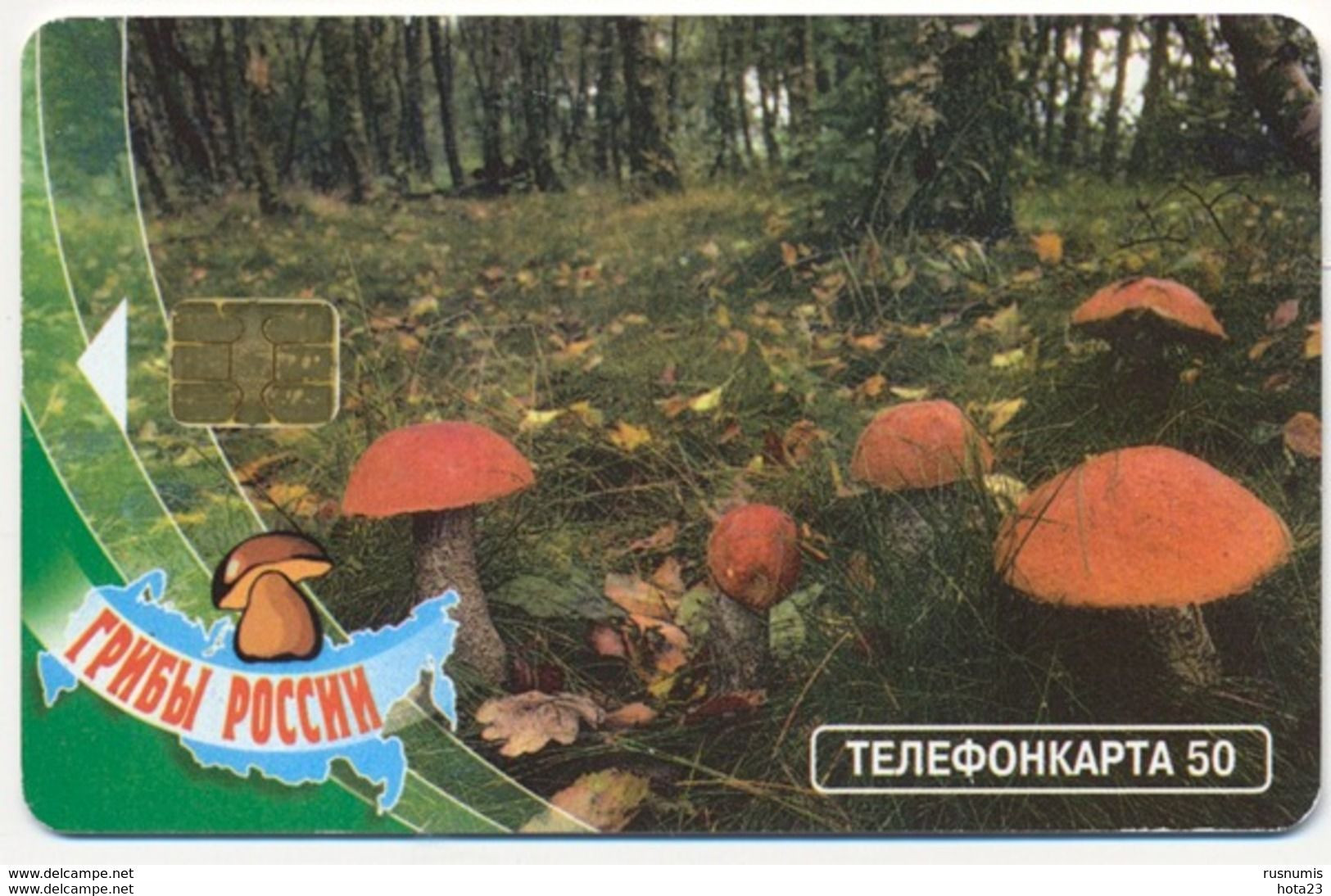 RUSSIA - RUSSIE - RUSSLAND  MOSCOW 50 Unit Mushrooms PODOSINOVIK USED Phonecard - Food