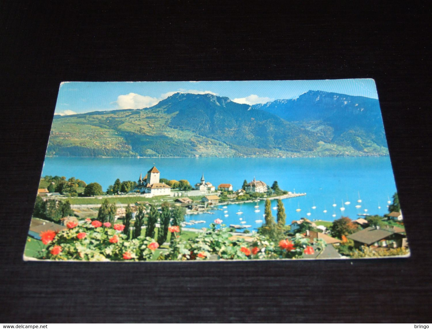 41541-                     SPIEZ MIT BUCHT - Spiez