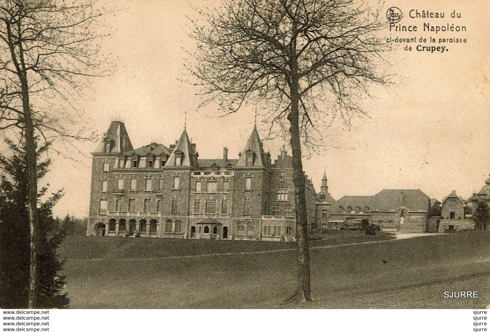 CRUPEY / Ronchinne / Assesse - Château Du Prince Napoléon - Kasteel - Assesse