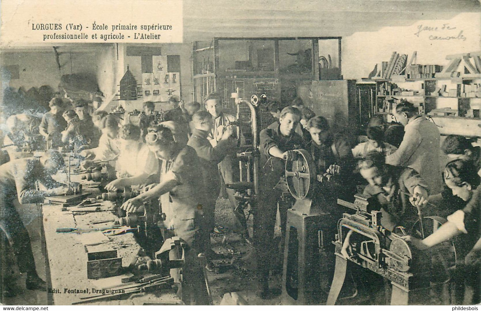 VAR  LORGUES  école Primaire Superieure Professionnelle Et Agricole - Lorgues