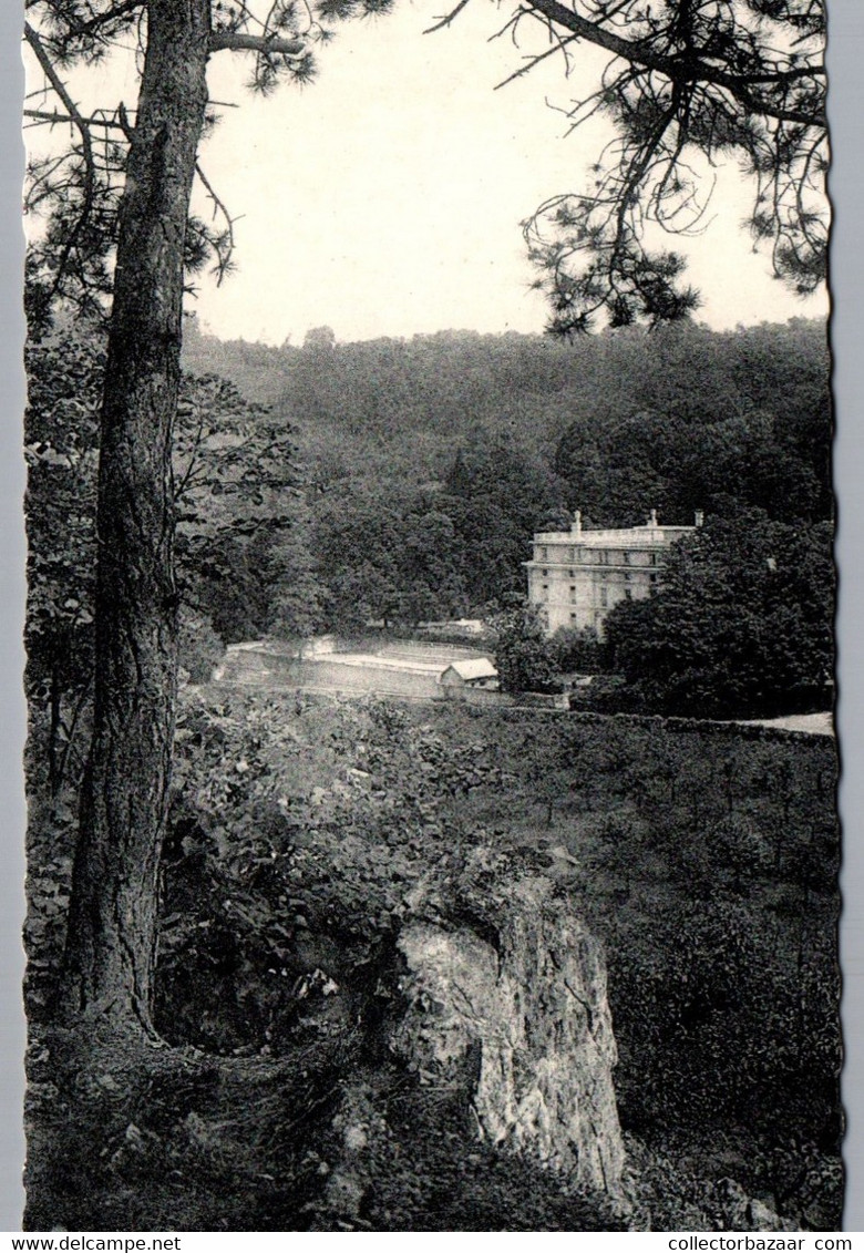 Brussels Bruxelles FGTB Hotel Old Postcard Photograph - Bossen, Parken, Tuinen