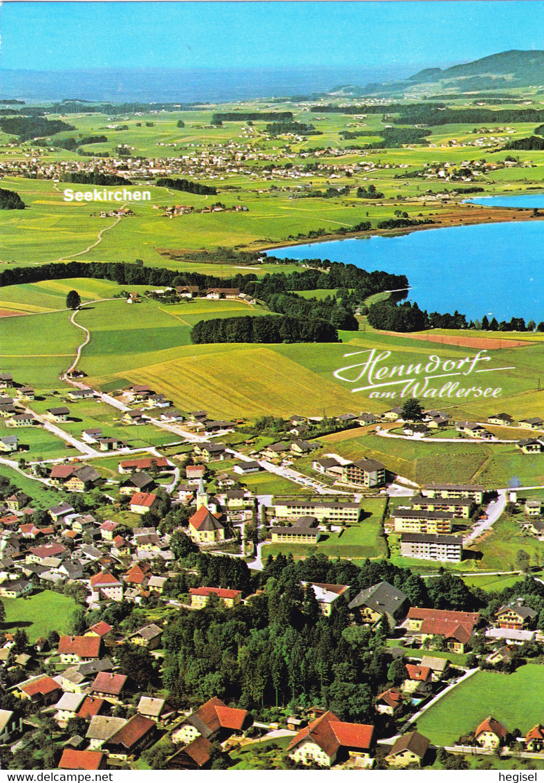 1984, Henndorf Am Wallersee, Luftaufnahme, Flachgau - Henndorf Am Wallersee