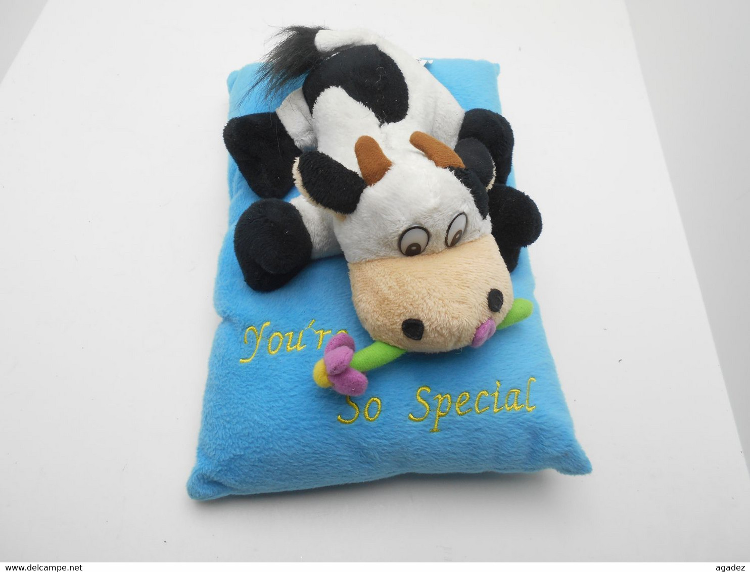 Coussin Peluche You 're So Special. - Plüschtiere