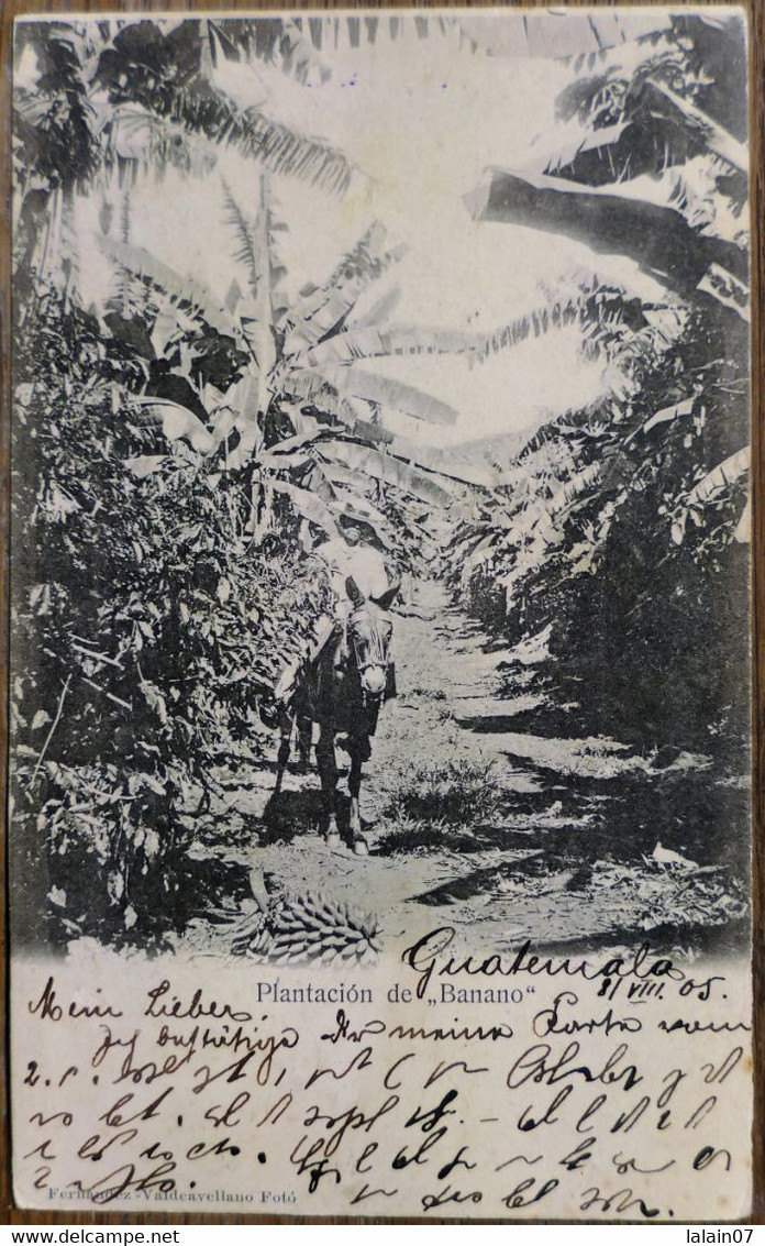 C. P. A. : GUATEMALA : Plantacion De "Banano", 2 Sellos Hacia  Marioupol, En 1905 - Guatemala