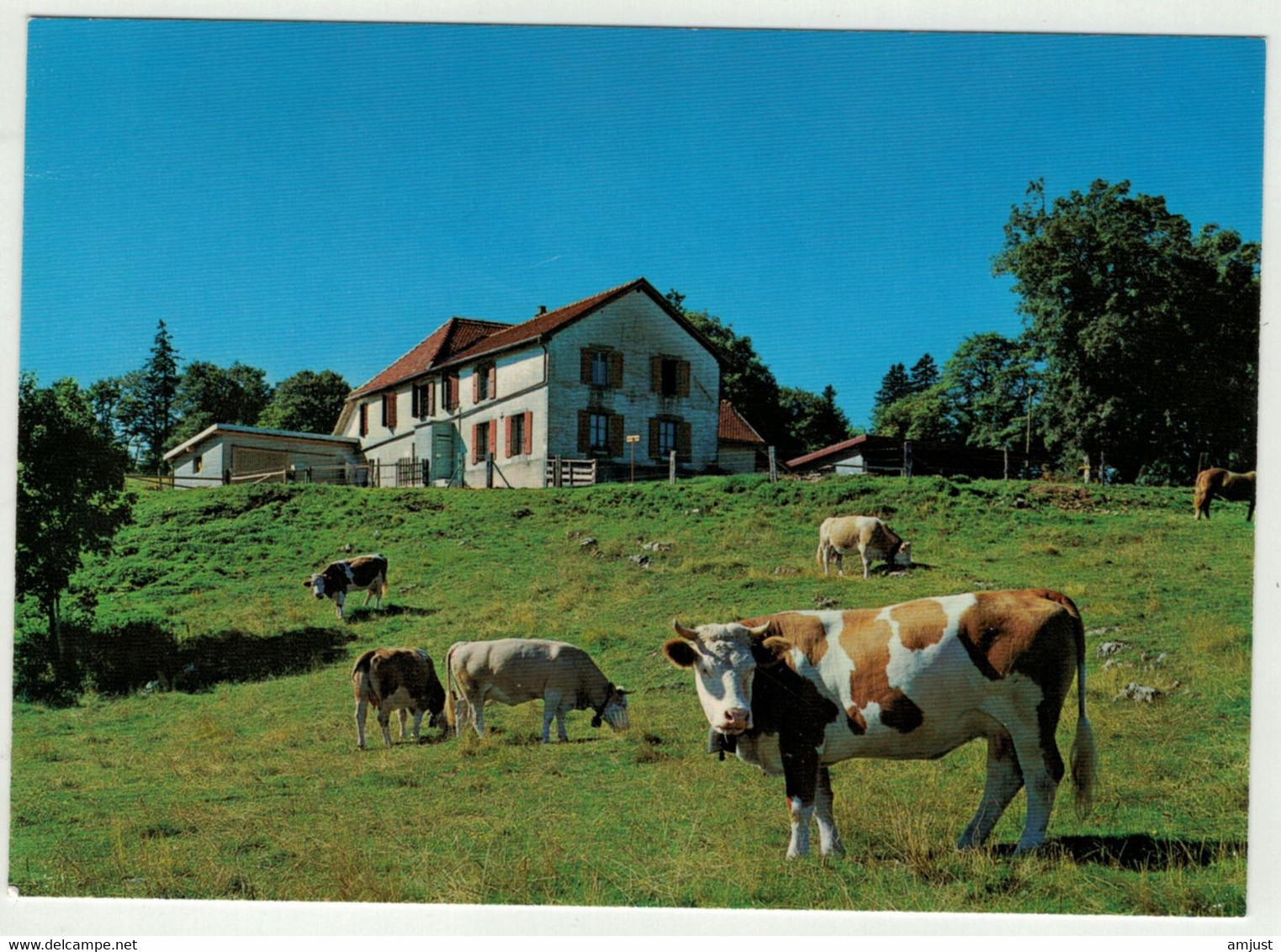 Suisse// Schweiz // Vaud // Ste-Croix, Pension Du Mont De Baulmes - Baulmes