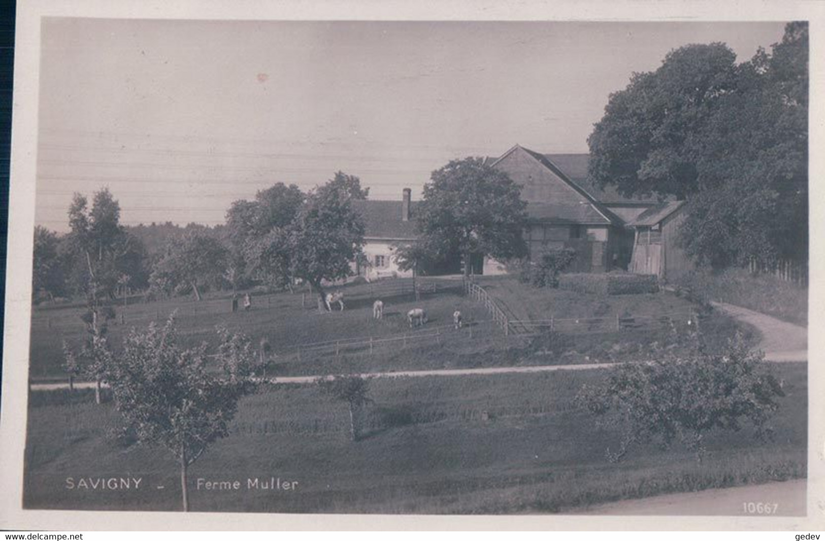 Savigny VD, Ferme Müller (10667) - Savigny