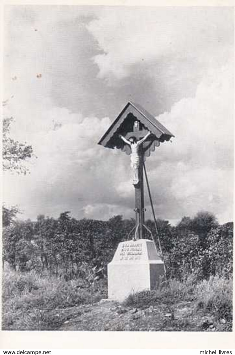 Dison - Mémorial Aux Victimes Des Inondations De 1956 - Pas Circulé - TBE - Dison