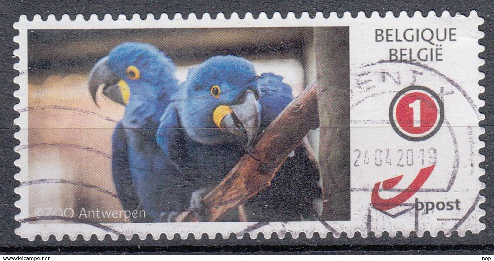 BELGIË - OBP - 2011 - TYPE: Nr 4183  (BLAUWE ARA) - Gest/Obl/Us - Used