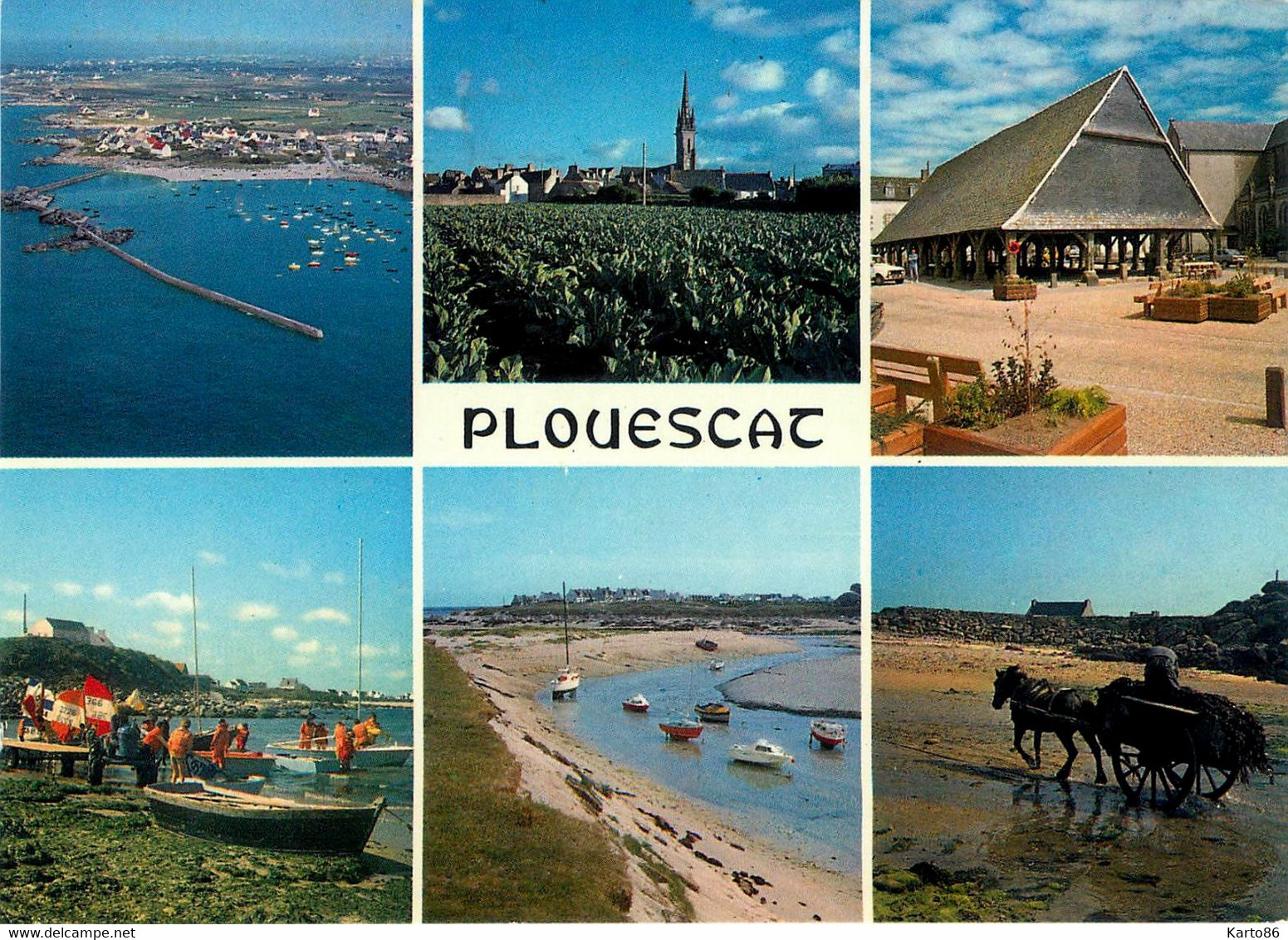 Plouescat * Souvenir Du Village * Cpa 6 Vues * Goémonier * Les Halles - Plouescat