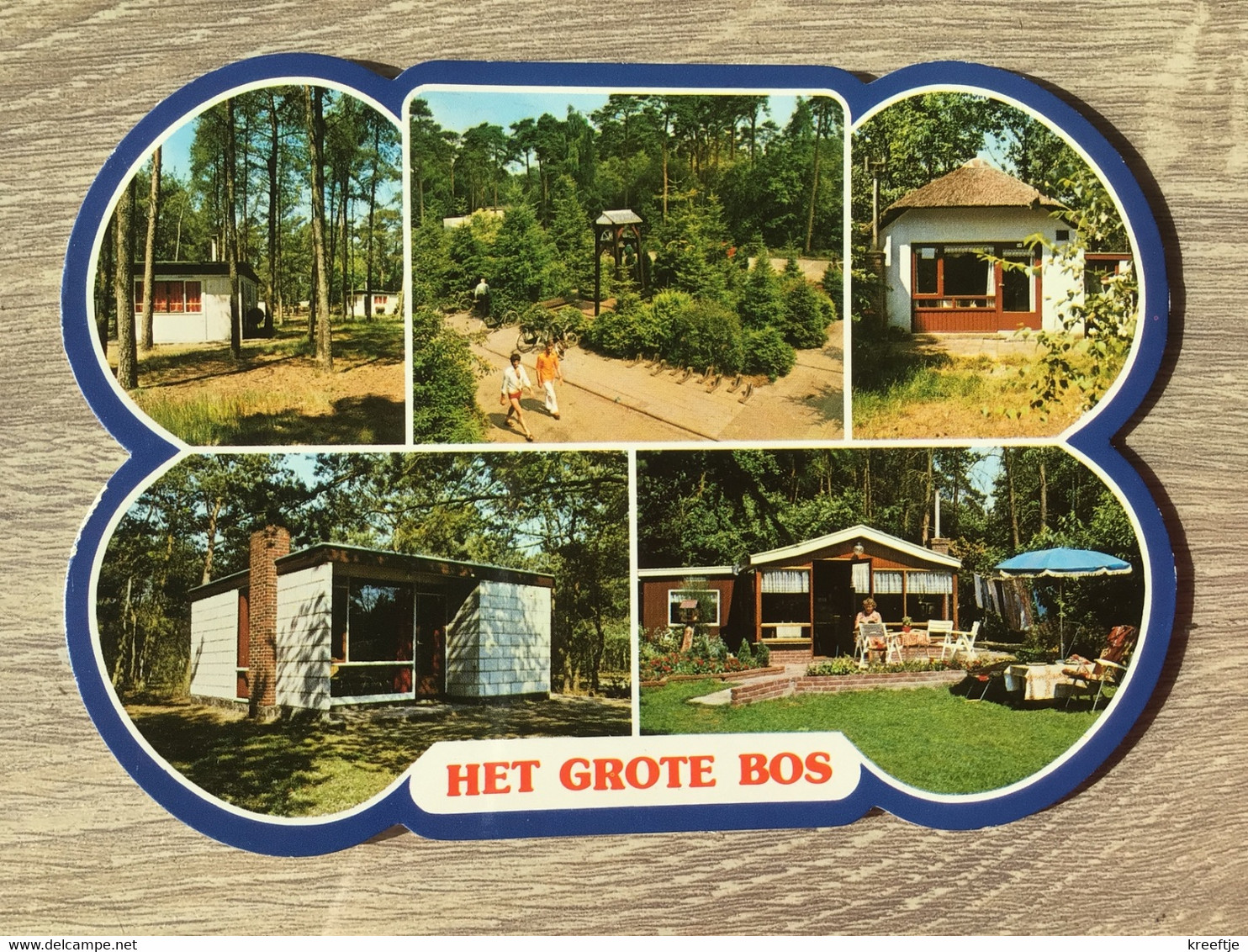 Nederland. Doorn. Het Grote Bos 1979 - Doorn