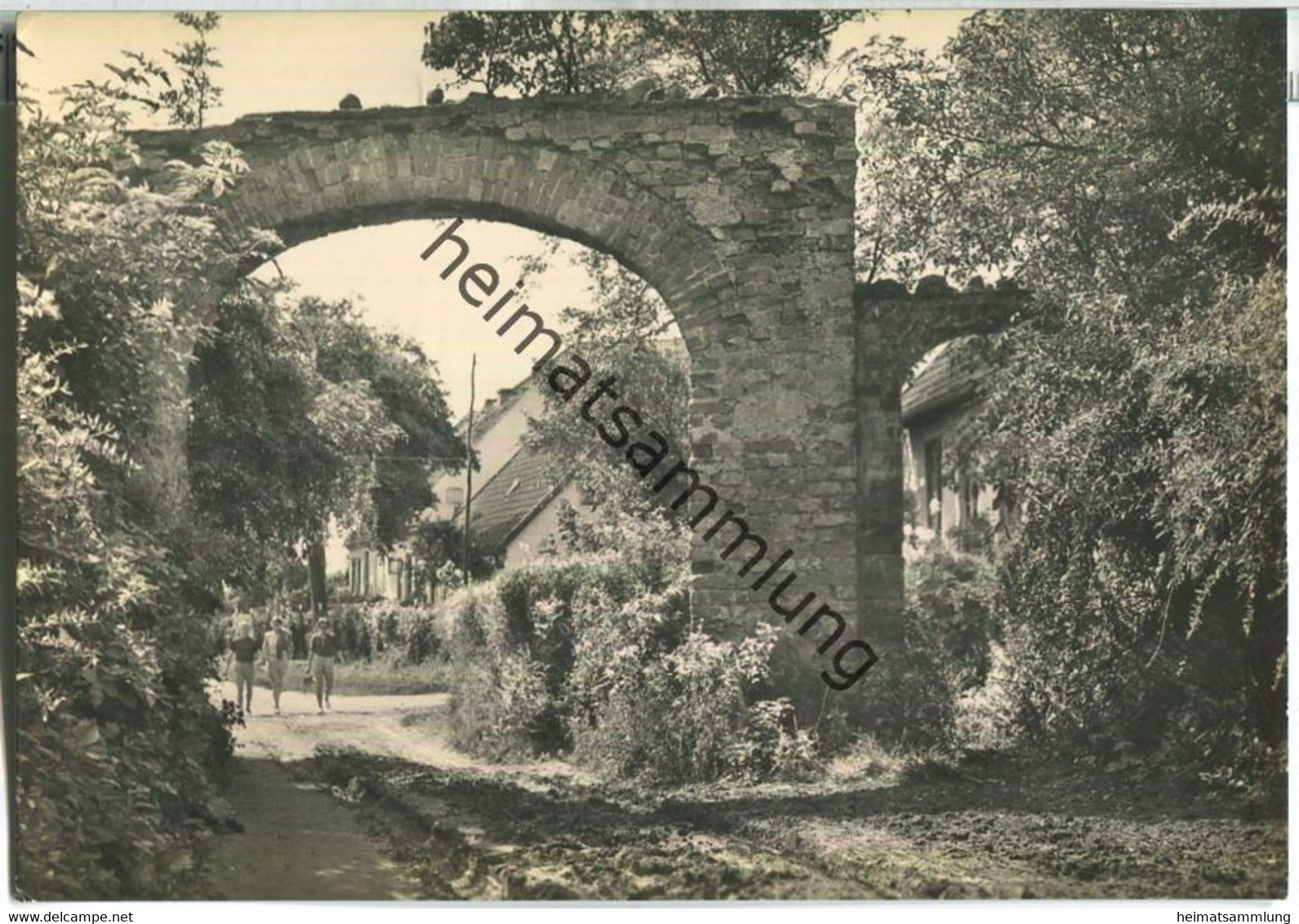 Kloster - Klosterruine - Heldge-Verlag KG Köthen - Hiddensee