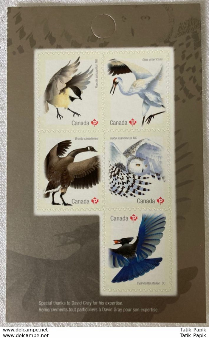 2017 Birds Of Canada Black Capped Chickadee, Snowy Owl, Steller's Jay, Goose, Whooping Crane, Permanent Stamps - Sparrows