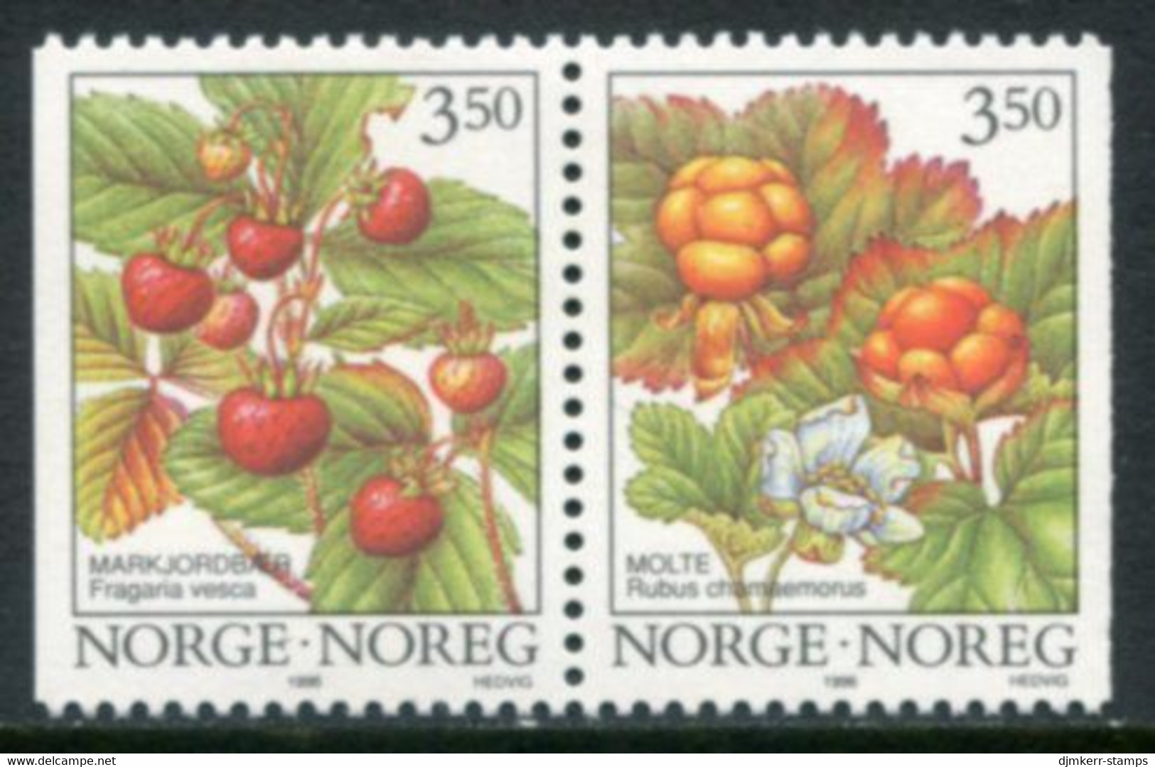 NORWAY 1996 Forest Berries MNH / **.   Michel 1204-05 - Unused Stamps
