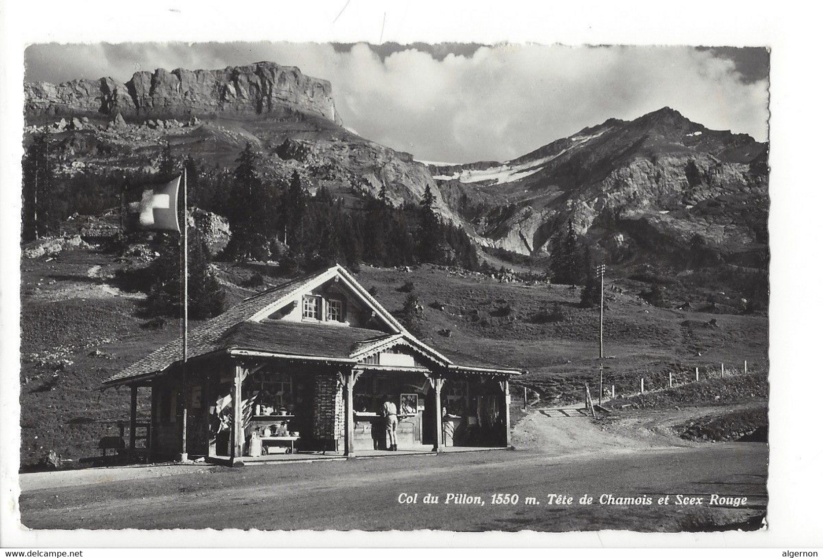 29733 - Col Du Pillon Tête De Chamois Et Seex Rouge - Ormont-Dessus 