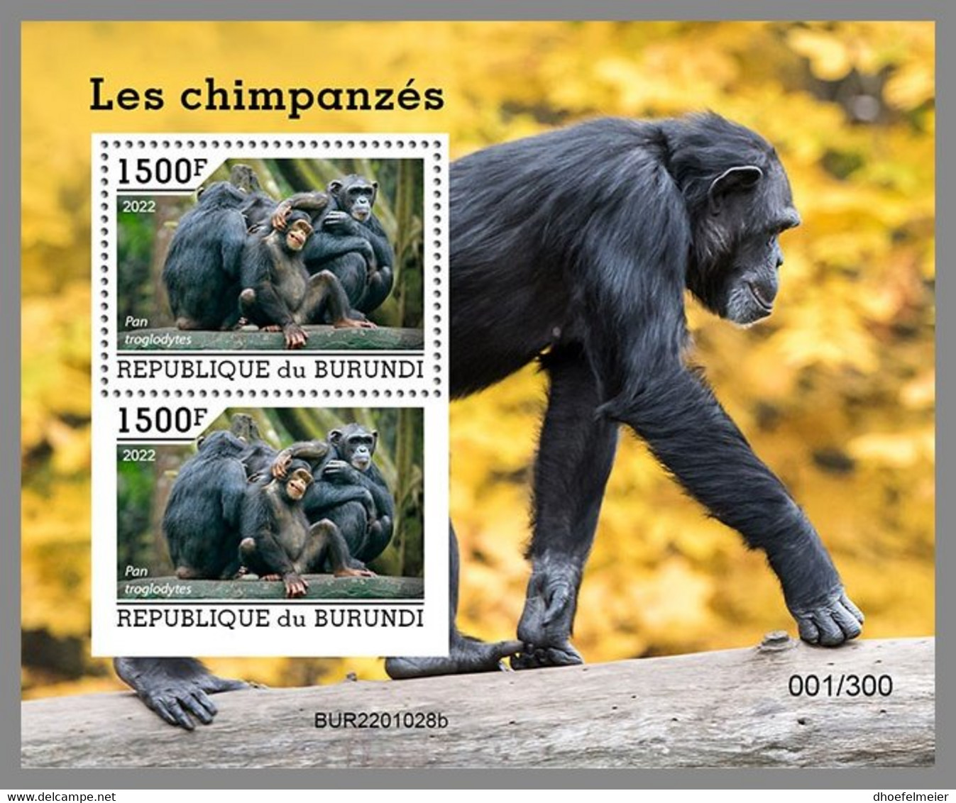 BURUNDI 2022 MNH Chimpanzees Schimpansen Chimpanzes S/S - IMPERFORATED - DHQ2207 - Chimpanzés