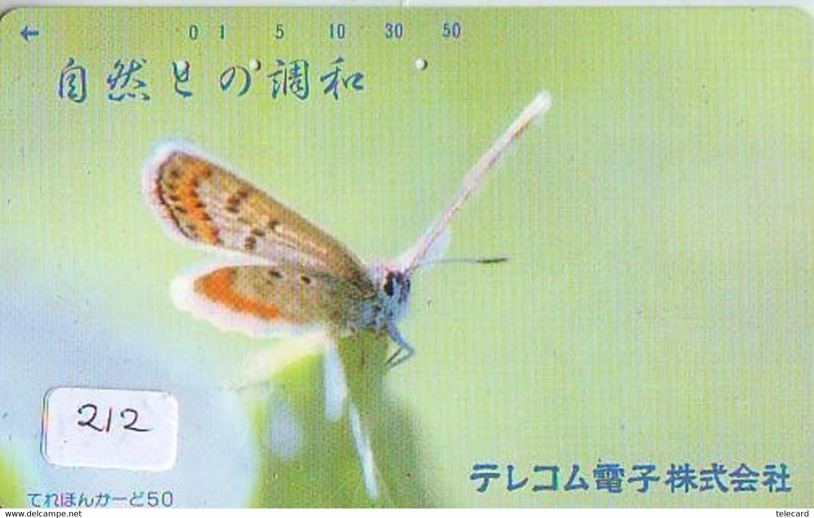 Dragonfly Libellule Libelle Libélula - Insect (212) - Altri & Non Classificati