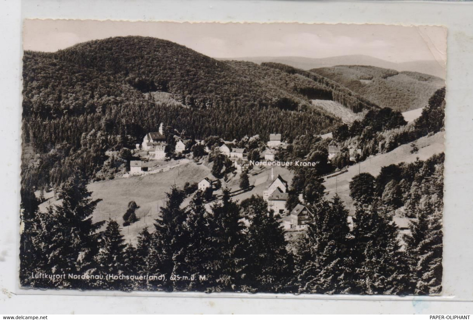 5948 SCHMALLENBERG - NORDENAU, Nordenauer Krone Und Umgebung, 1958 - Schmallenberg