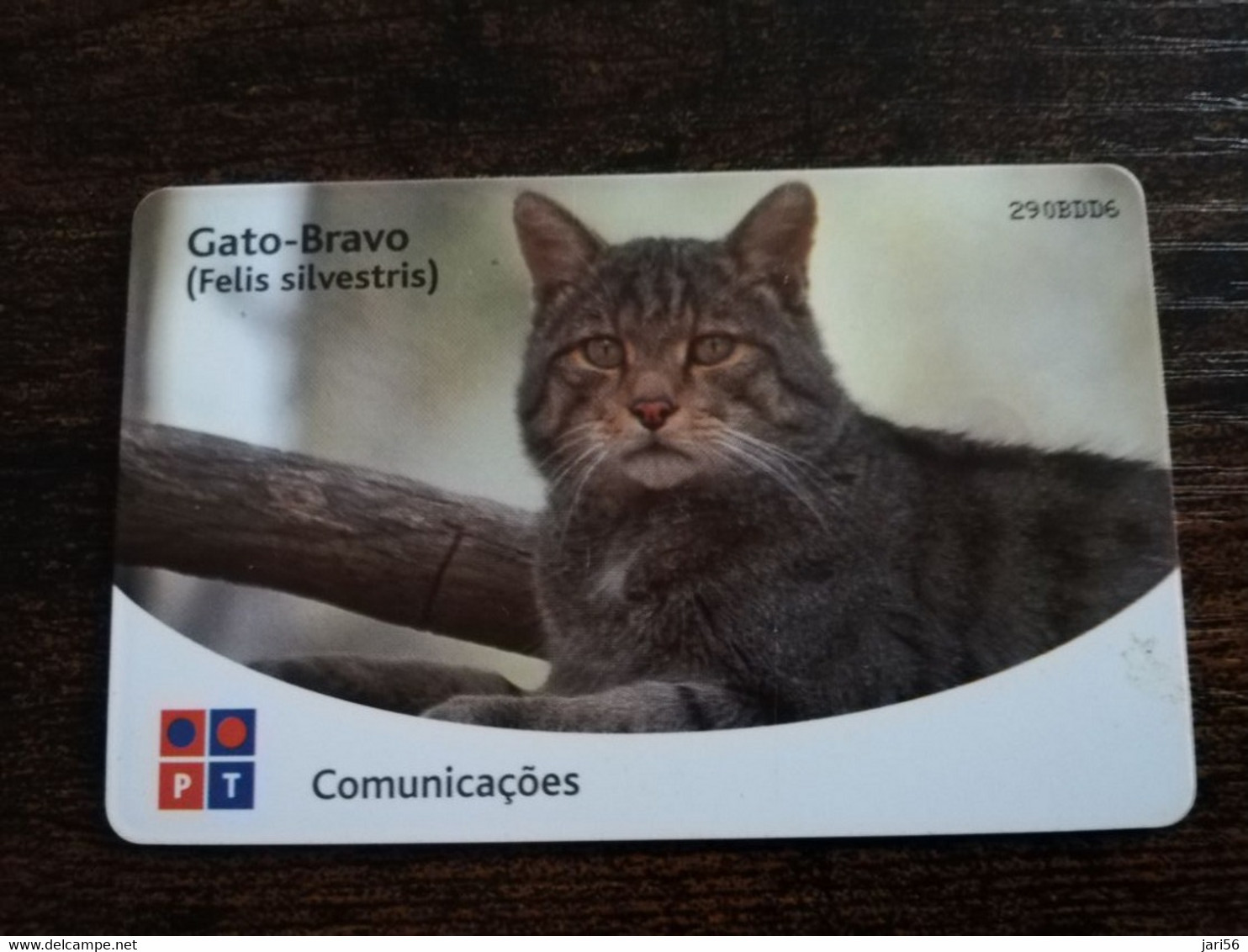 PORTUGAL   CHIPCARD  1OO IMPULSOS €6,-  CAT/GATO-BRAVO FELIS SILVESTRIS        Nice  Fine Used      **8853** - Portugal