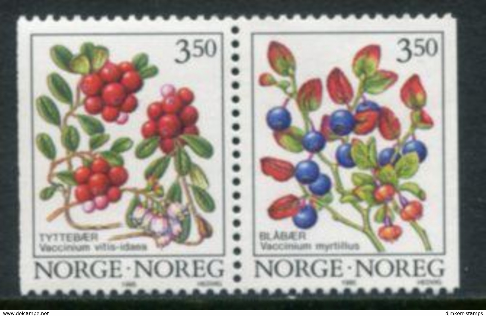 NORWAY 1995 Forest Berries Phosphor Paper MNH / **.   Michel 1174y-75y - Unused Stamps
