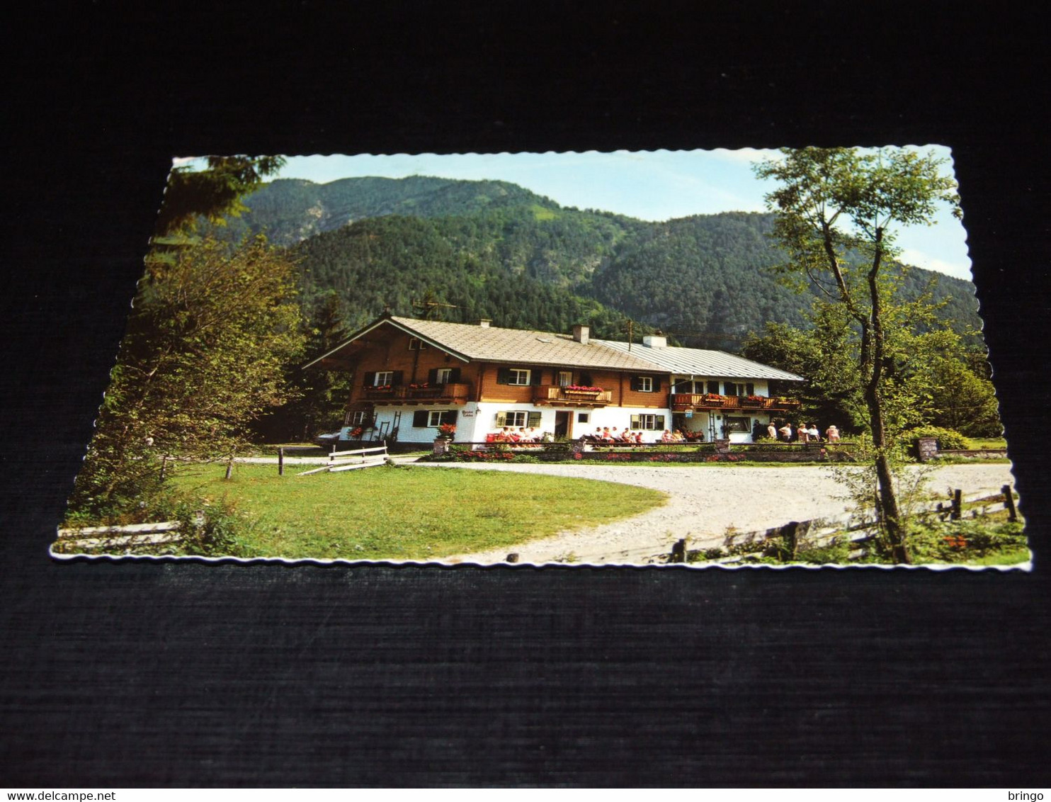 41695-                                WALDPENSION CATRINA, ERPFENDORF BEI ST. JOHANN IN TIROL - St. Johann In Tirol