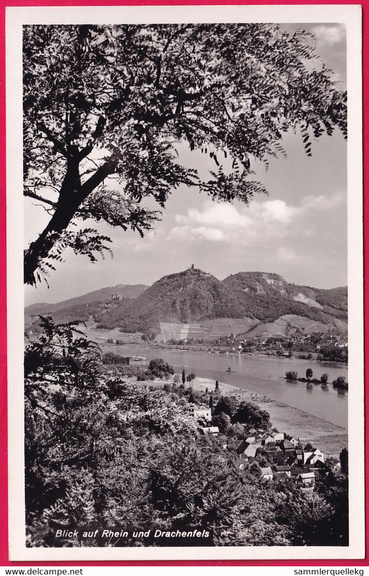 AK: Echtfoto - Blick Auf Rhein Und Drachenfels, Ungelaufen (Nr.316) - Drachenfels