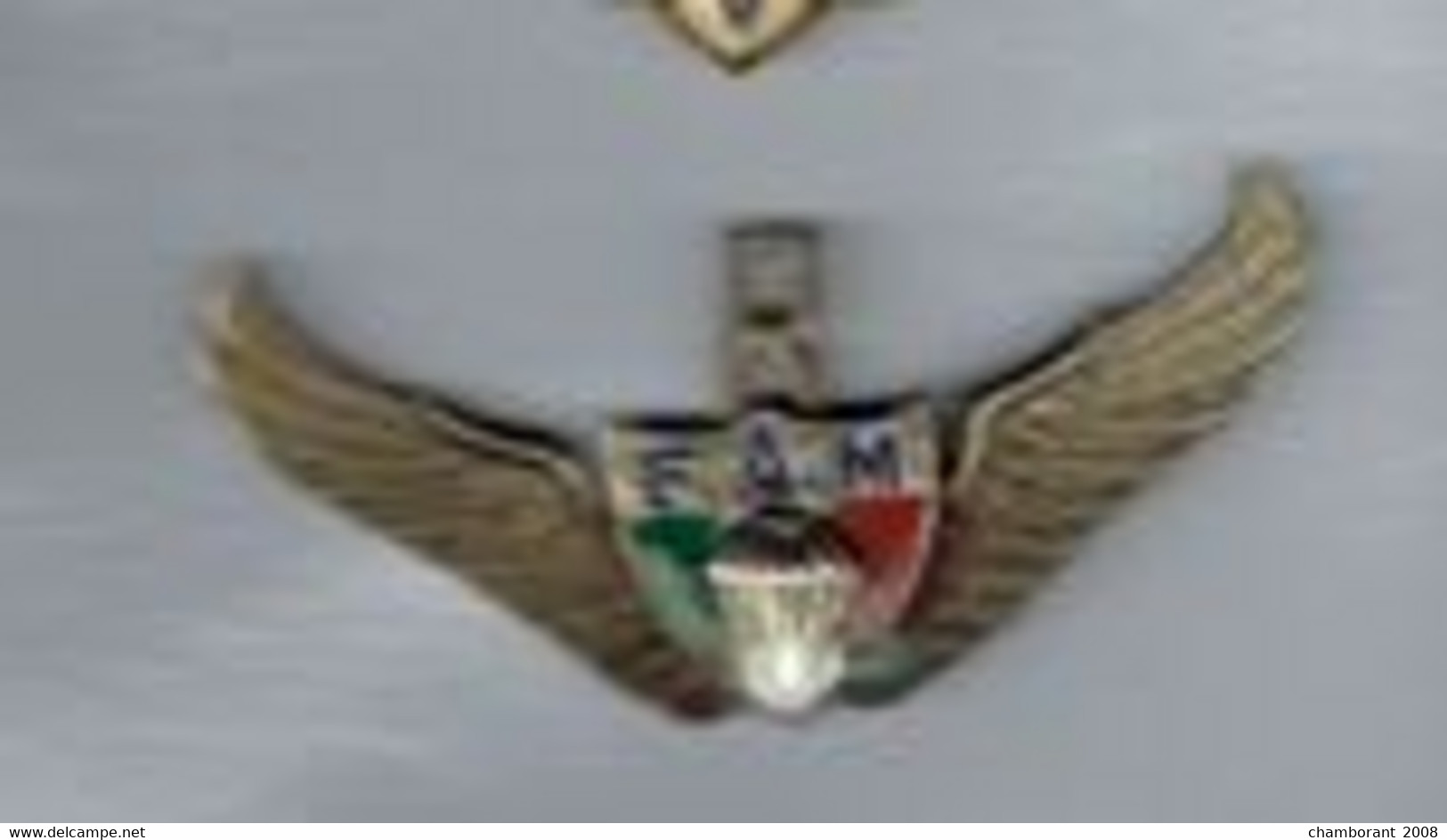 BREVET PARA COMMANDO MEXIQUE - Luchtmacht
