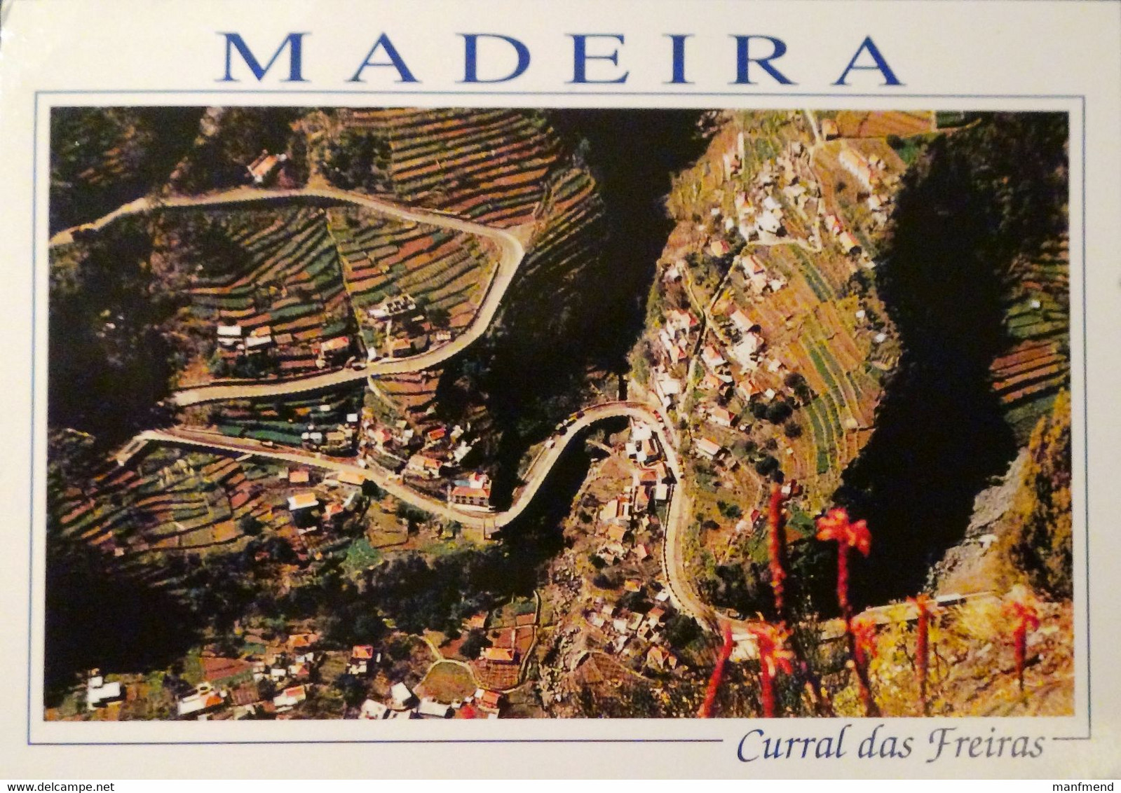 Madeira - 1995 - Mi:PT 2086, Sn:PT 2062, Yt:PT 2062 On Postcard - Look Scan - Brieven En Documenten