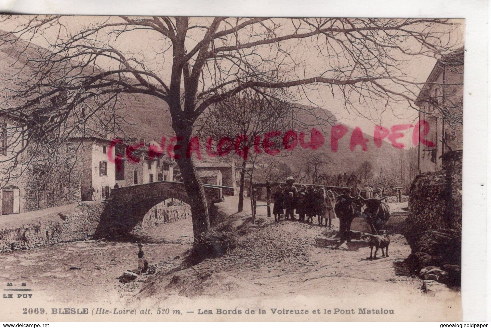 43- BLESLE - LES BORDS DE LA VOIREUZE ET LE PONT MATALOU - Blesle