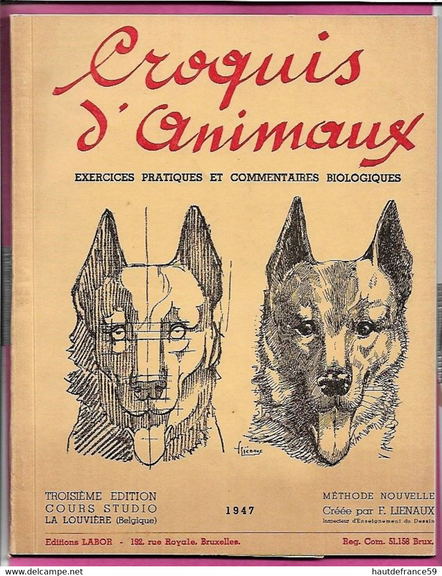 Enseignement Du Dessin COURS STUDIO  1947 CROQUIS D ANIMAUX  Cours V - La Louvière Belgique Nombreux Dessins Schémas - Otros Planes