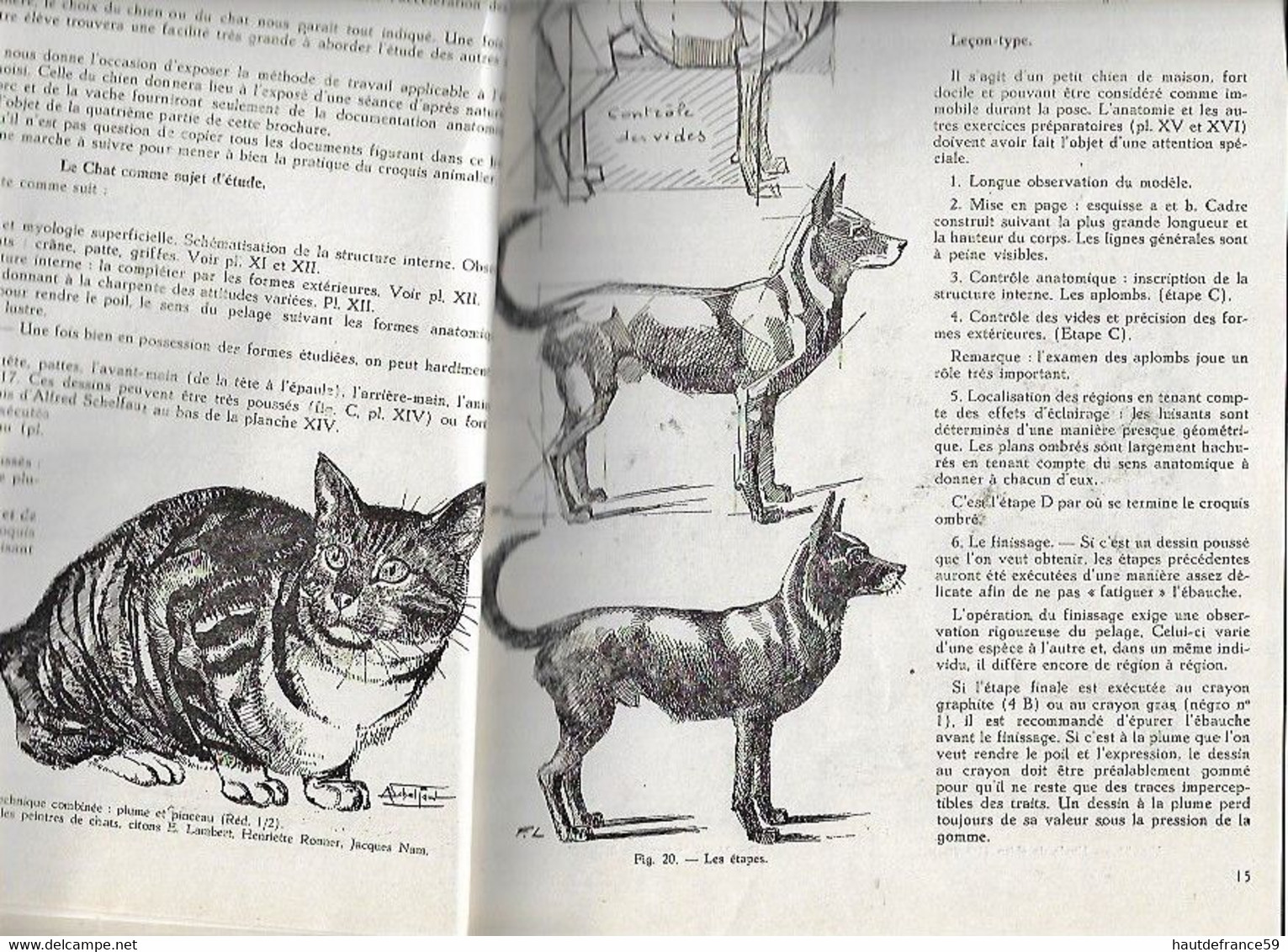 Enseignement Du Dessin COURS STUDIO  1947 CROQUIS D ANIMAUX  Cours V - La Louvière Belgique Nombreux Dessins Schémas - Autres Plans