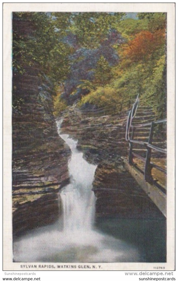 New York Watkins Glen Sylvan Rapids 1936 Curteich - Adirondack