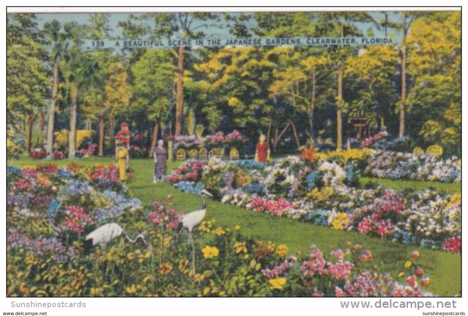 Florida Clearwater Beautiful Scene In The Japanese Gardens 1941 - Clearwater