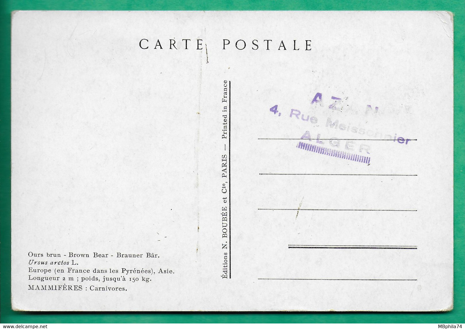 CARTE MAXIMUM MAX CARD OURS BEAR FINLANDE FINLAND SUOMI 15+3 MK 1953 - Cartoline Maximum