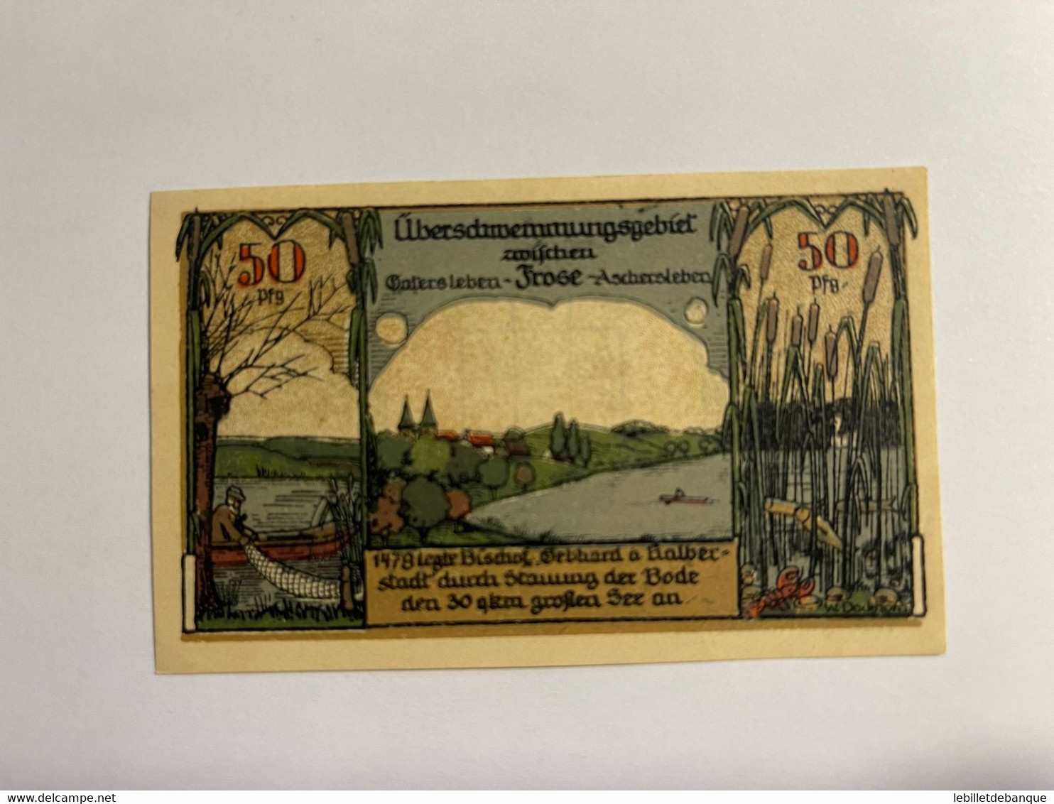 Allemagne Notgeld Frose 50 Pfennig - Collections