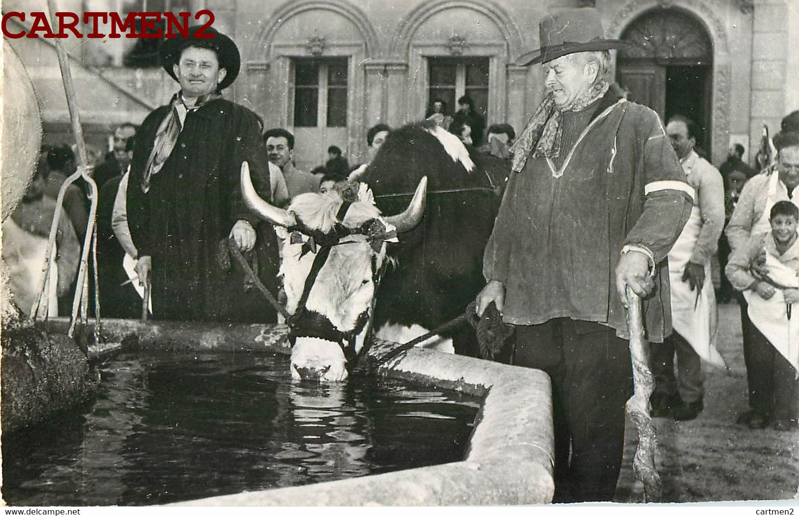 BARJOLS FETES DE LA SAINT-MARCEL BOEUF A L'ABREUVOIR 83 VAR - Barjols