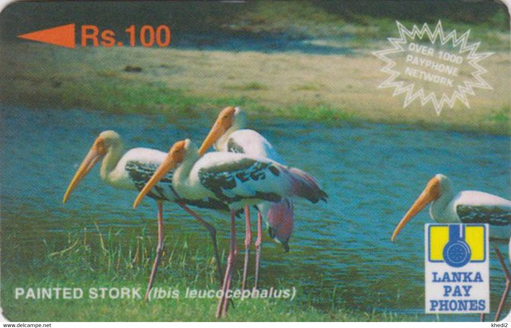 Télécarte GPT SRI LANKA - ANIMAL - OISEAU CIGOGNE PEINTE - PAINTED STORK BIRD Phonecard - STORCH - 5727 - Sri Lanka (Ceylon)