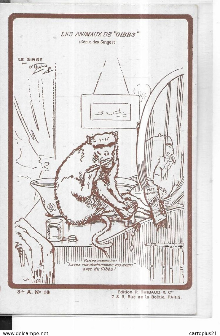 PUBLICITE  //   GIBBS   LES ANIMAUX  //  LE SINGE   DANS LA SALLE DE BAINS  PAR ILLUSTRATEUR O GALO - Advertising