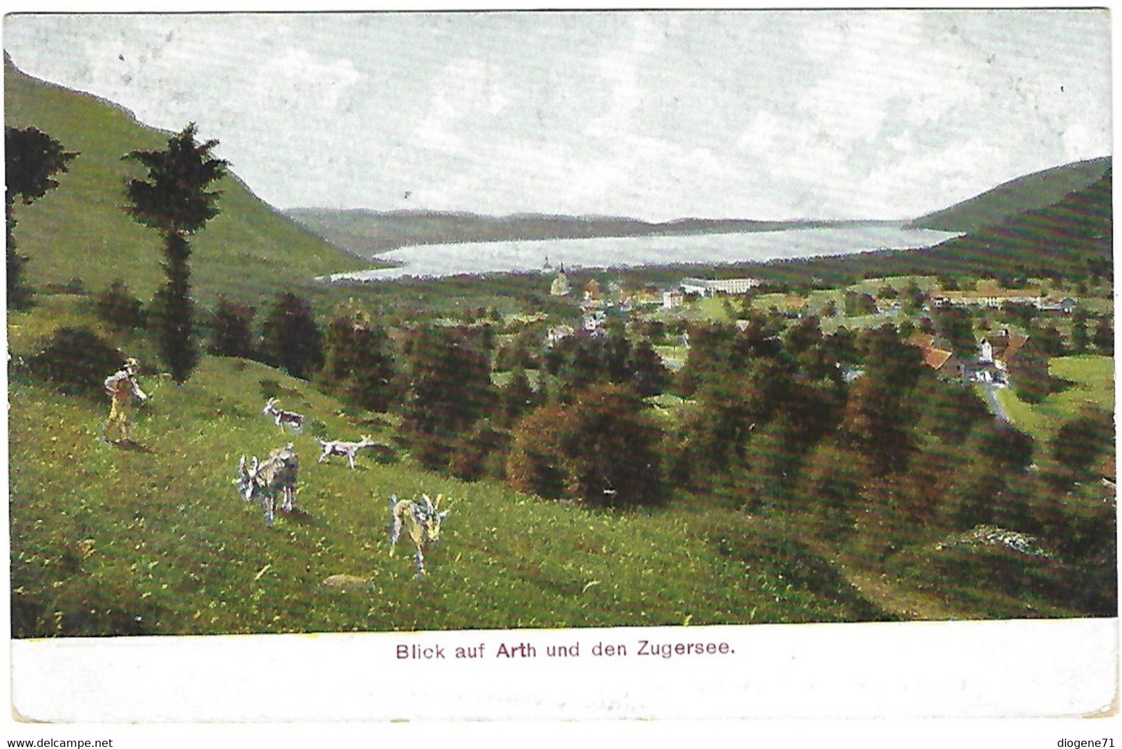 Blick Auf Arth Und Den Zugersee Serie 51 Arth-Rigi-Bahn - Arth