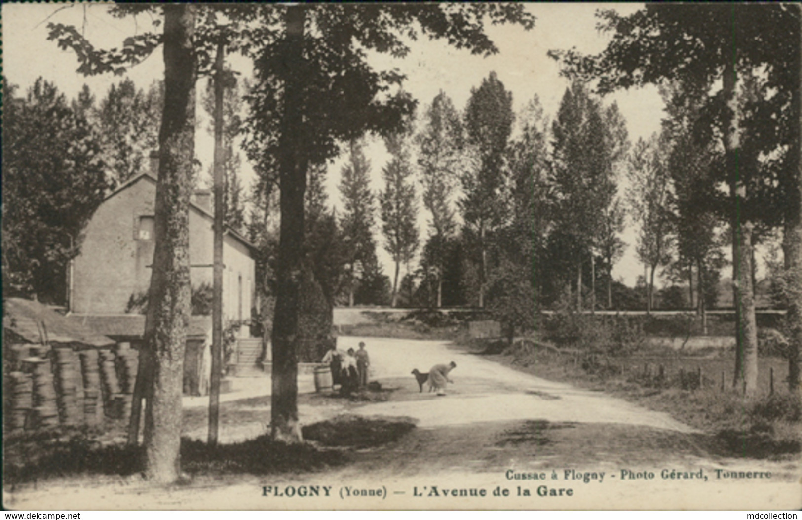 89 FLOGNY LA CHAPELLE / L'Avenue De La Gare / - Flogny La Chapelle