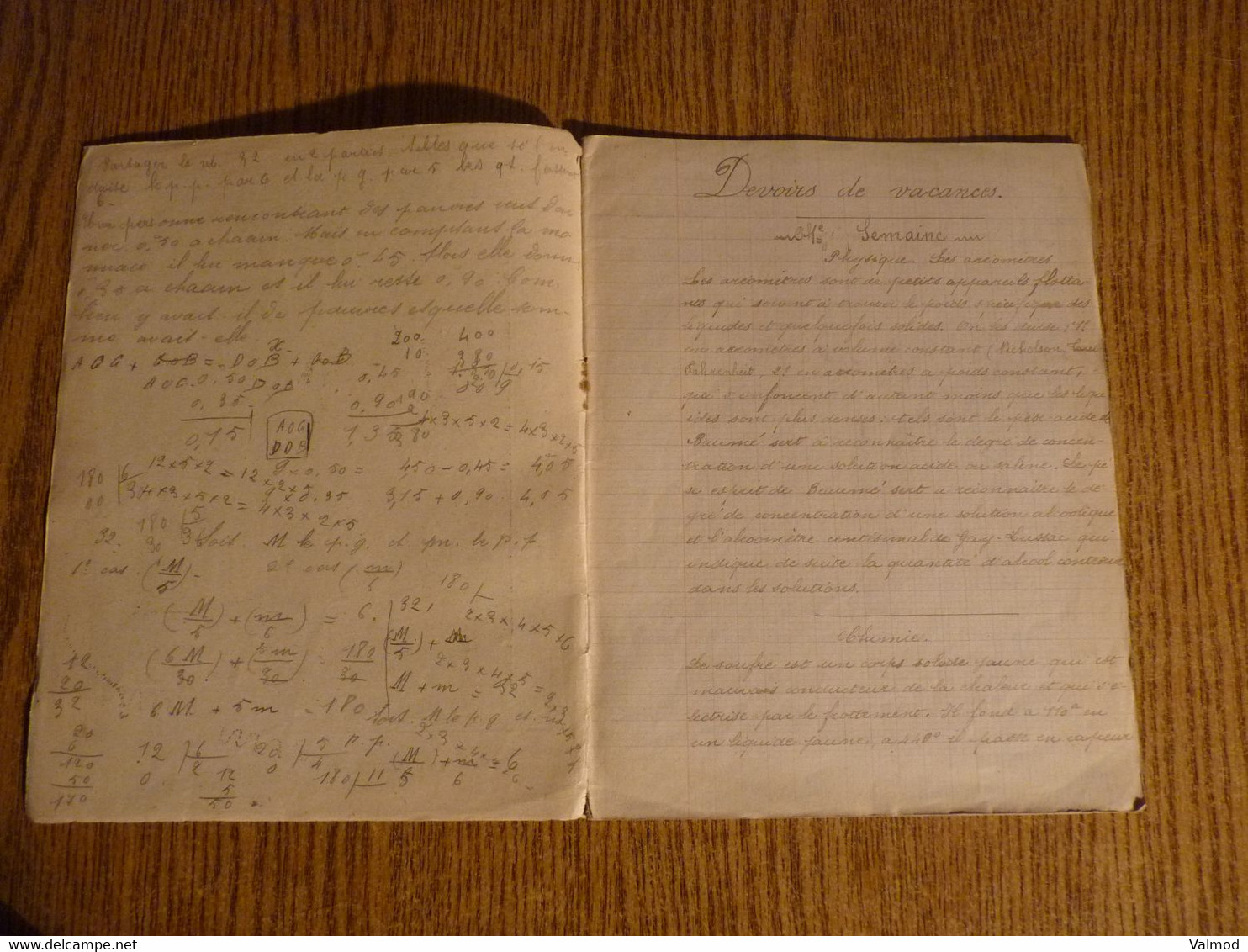 Cahier De Devoirs De Vacances Début 1900-Fraudes Alimentaires-La Charcuterie-Le Familistère-Format Plié 22,3x17,7cm Env. - Protège-cahiers