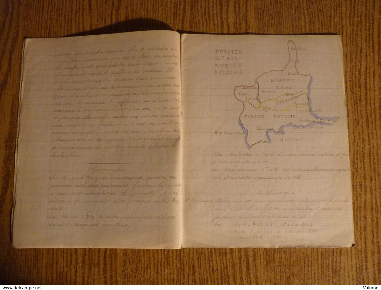 Cahier De Devoirs De Vacances Début 1900-Fraudes Alimentaires-La Charcuterie-Le Familistère-Format Plié 22,3x17,7cm Env. - Protège-cahiers