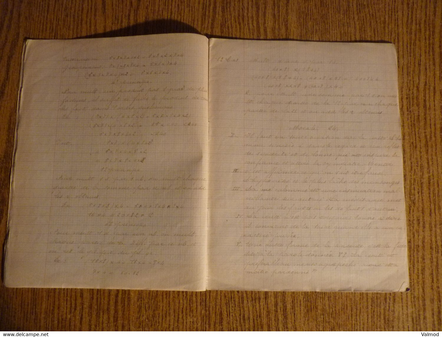 Cahier de Devoirs de Vacances début 1900-Fraudes Alimentaires-La Charcuterie-Le Familistère-Format plié 22,3x17,7cm env.