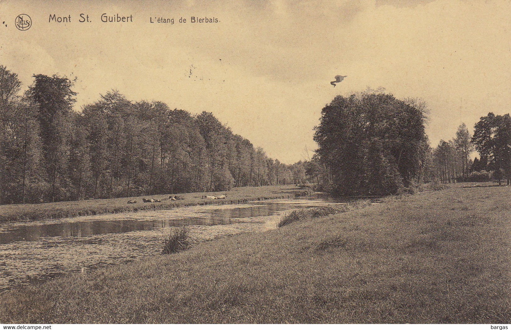 Mont Saint Guibert L'étang De Bierbais - Mont-Saint-Guibert